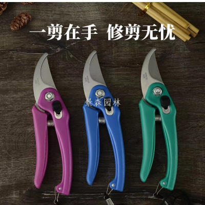 India 906 Gardening Pruning Shear High Quality and Low Price Three-Color Mixed Card