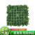 Simulation Milan 25*25 Grass Artificial Green Plant Milan Plastic Grass Decorative Greenery