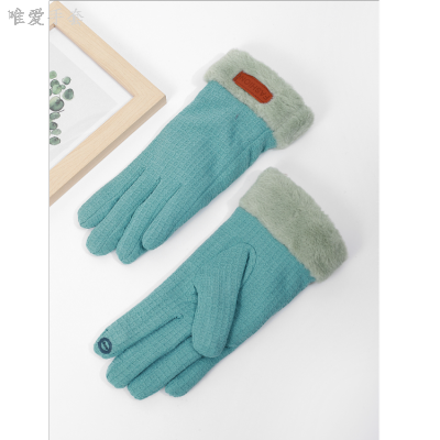Factory Direct Sales New Winter Fleece-Lined Thick Windproof Warm Women's Gloves Riding Lady