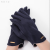 Factory Direct Sales Winter Warm Gloves Women's Fleece-Lined Thickened Cold Protection Touch Screen Riding Wool Ladies' Fashion Gloves
