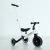 Multifunctional Tricycle with Push Handle, Balance Car Pedal Car