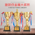 Creative Champion Metal Crystal Trophy Competition Customization High-End Gold Plating Basketball Game Football Badminton Dance Children