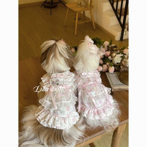 dog  pet clothes cute knitted dress maltese bichon spring and summer new bow lace