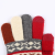 Colorful Mixed Color Jacquard Pattern Warm Gloves Touch Screen Gloves Thickened Finger Gloves Cycling Gloves Can Be Customized