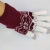 Korean Style Fashionable Warm Large Snowflake Touch Screen Brushed Couple Riding Work School Gloves