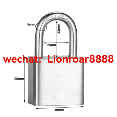ss 304 luxury padlock