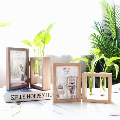Creative Double-Sided Hydroponic Plant Decoration New Personalized Photo Frame Decorations Specimen Box