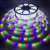 Moro Led High Voltage Light with 2835 Six Colors 48 Lights and 96 Lights
