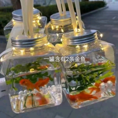 hot new project stall artifact internet celebrity cans fish park night market square hot sale hot sale fish cans factory
