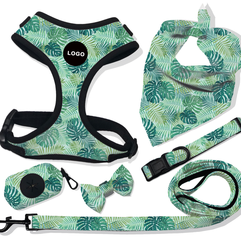 Product Image Gallery