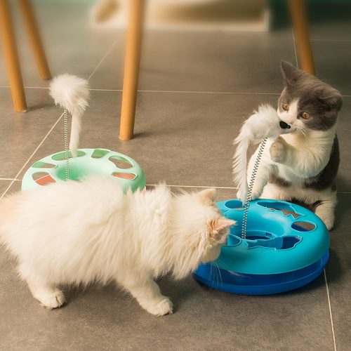 pet supplies cat toys educational amusement plate bell ball funny cat toys mouse round track pet cat turntable