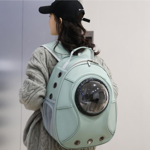 panoramic large transparent portable breathable cat bag pet travel shoulder pet bag transparent space capsule