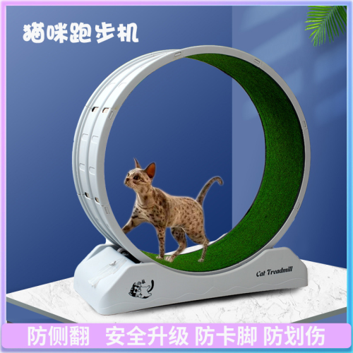 pet cat dog treadmill roller fitness mute high fiberboard runway roller cat climbing frame cat toy