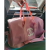 Travel Bag Women's Fashion Brand New Fashion All-Match Shoulder Bag Large Capacity High Quality Messenger Bag Waterproof Handbag for Women