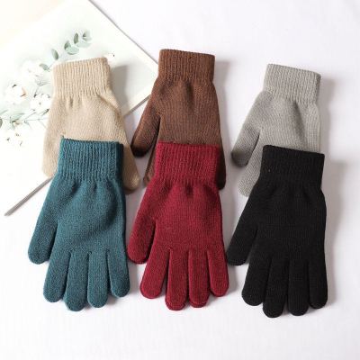 Women Gloves Winter Warm and thick Gloves Full Finger Gloves ScreenTouch Gloves