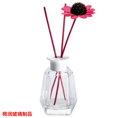 Dried Flower Rattan Mini and Simple Indoor Fire-Free Empty Aromatherapy Bottles Six-Sided Transparent Living Room Decoration Glass Bottle