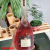 500ml Glass White Spirit Bottle Fruit Wine Juice Bottle Red Wine Bottle Imported Wine Bottle Ox Whiskey Storage Bottle