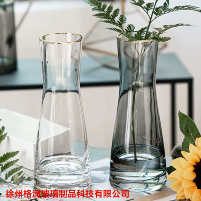 Nordic Creative Glass Hydroponic Plant Vase Fish Farming Living Room Transparent Scindapsus Aureus Dried Flowers Vase Ornaments