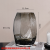 European Simple Geometric Glass Vase Creative Home Decoration Hydroponic Container Living Room Decorations Entrance Decoration