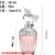 Factory Direct Sales New Creative Wholesale Dream Building Tianma 50ml80ml Transparent Glass with Lid Perfume Aromatherapy Fire Extinguisher Bottles