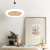 Cross-Border New LED Aromatherapy Fan Lamp Bedroom Living Room Shaking Head Invisible Fan Frequency Conversion Remote Control Home Ceiling Fan Lights