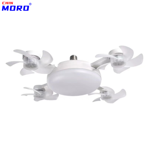 Fan Light