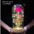 Factory Wholesale Creative Gift LED Light Colorful Rose Luminous Glass Cover Gold Foil Flower Gift Box 520 Valentine's Day