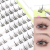 Dance Princess Factory Direct Supply 10 Rows Hard Box Trilogy SUNFLOWER Segment Glue-Free Segment False Eyelashes