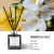 New Aromatherapy Fire-Free Rattan Essential Oil for Aromatherapy Hotel Household Bedroom and Toilet Deodorant Fragrance Factory Direct Sales Foreign Trade