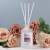 Cross-Border New Arrival Light Perfume Fire-Free Reed Diffuser Lasting Fragrance Indoor Toilet Air Freshing Agent Fragrance Ornaments