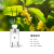 Creative Flower Language Fire-Free Aromatherapy Indoor Bedroom Light Perfume Fragrance Gift Toilet Air Freshener Wholesale Customization