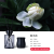 Foreign Trade New Style Fire-Free Aromatherapy Set Festival High-End Hand-Holding Gift Set Indoor Fragrance Decoration Wholesale Customization