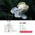 New Fire-Free Aromatherapy Customized Indoor Room Air Fresh Fire-Free Aroma Deodorant Lasting Decorative Ornaments Wholesale