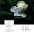 Factory Customized Smoke-Free Soy Wax Aromatherapy Candle Hand Gift Home Long-Lasting Bedroom Sleep Romantic Fragrance