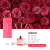 Tiktok Same Style Fire-Free Reed Diffuser Hotel Bedroom Room Toilet Deodorant Fragrance Decoration Factory Wholesale Customization