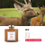 Meimei Foreign Trade New Fire-Free Reed Diffuser Cross-Border Hot Fresh Air Deodorant Light Perfume Home Fragrance Customization