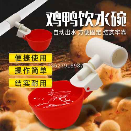Export African Chicken Drinking Bowl New Type Chicken Automatic Water Feeder Poultry Three-Way Drinking Bowl Chicken Raising Equipment