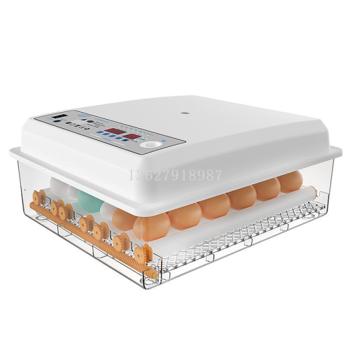 100 Pieces Chicken Incubator Small Household Intelligence 24 Pieces Incubator Exported to Middle East 48 Eggs Egg Incubator