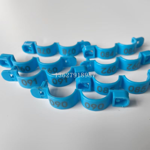 Chien Foot Ring Snap-on Chien with Ankle Ring Foot Ring Mark Identifiion Ring Chien Du Goose Poultry Ankle Ring Foot Ring bel