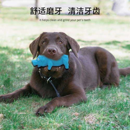 乳胶宠物玩具钻石纹怪叫猪发声狗狗发声惨叫猪玩具可代发可定制