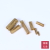 Brass Color Inner Expansion Pipe Gecko Internal Expansion Screw Built-in Bolt Furniture Self-Tapping Screw Wood Dental Pin