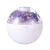 OFAN-522 Salt Stone Poke Ball Humidifier Preserved Fresh Flower Poke Ball Humidifier