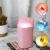 506a Preserved Fresh Flower Humidifier