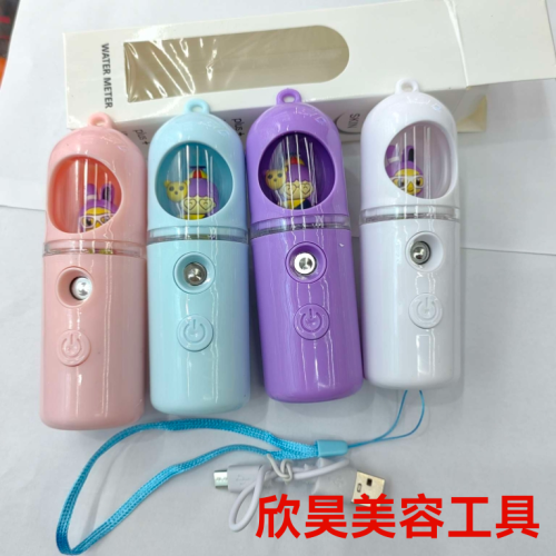 cute pet spray moisturizing instrument cool cooling moisturizing humidifying handheld small portable rechargeable beauty facial vaporizer
