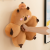New Capabala Cushion Flower Capybara Plush Toy Pillow Fruit Pendant Company Office Student