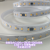 220V Single Row Double Row Drive-Free Light Strip LED Outdoor Engineering Lighting Strip 10mm Electroplating Plate Light Strip