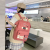 Xiaoqing New High-Looking College Style Student Backpack Women's Large Capacity Schoolbag Middle School Students Backpack Generation Hair