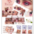 FourColor Eyeshadow Palette Matte Shimmer Eye Shadow Xiaohongshu Tiktok Luminous Color Plastic Box Eye Shadow Modelove