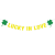 Lucky in Love Glitter Flag Irish St. Patrick Carnival Party Decoration String Flags Four-Leaf Clover