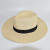 Monochrome Braid Straw Hat Spring and Summer New Small Top Hat Panama Straw Hat Cross-Border Amazon Wholesale Hat for Men